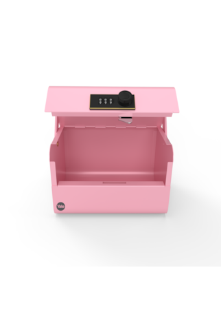 Cofre Educativo Rosa