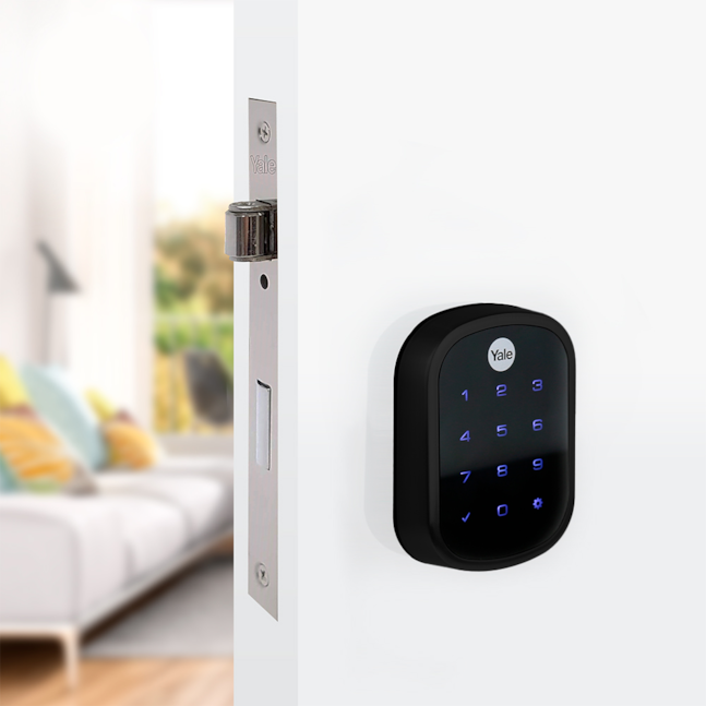 Product main image - 5afdbd64-667d-4c38-bf4b-949f2953f191