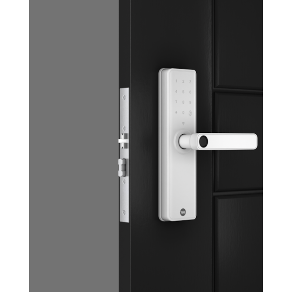 Product main image - f454ff0c-dd6e-4744-914f-004a7fa2491f