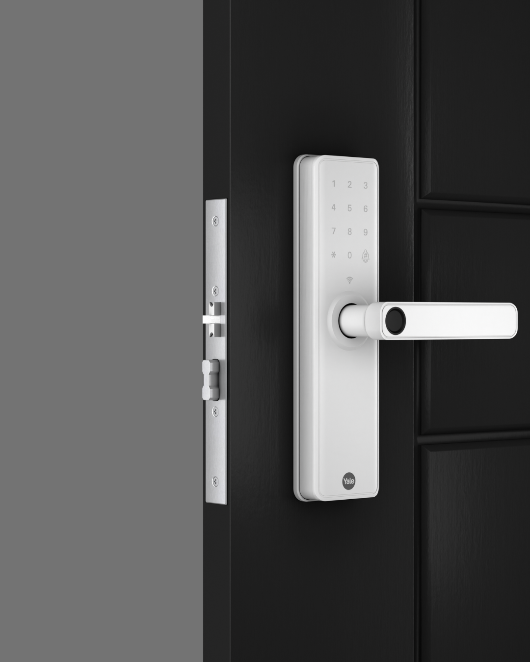 Product main image - f454ff0c-dd6e-4744-914f-004a7fa2491f