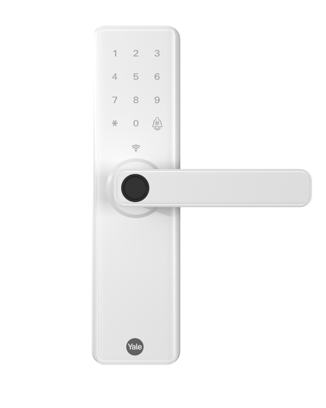 Product main image - 0ed0b4c5-abb7-4a32-96ac-e332f65210b6