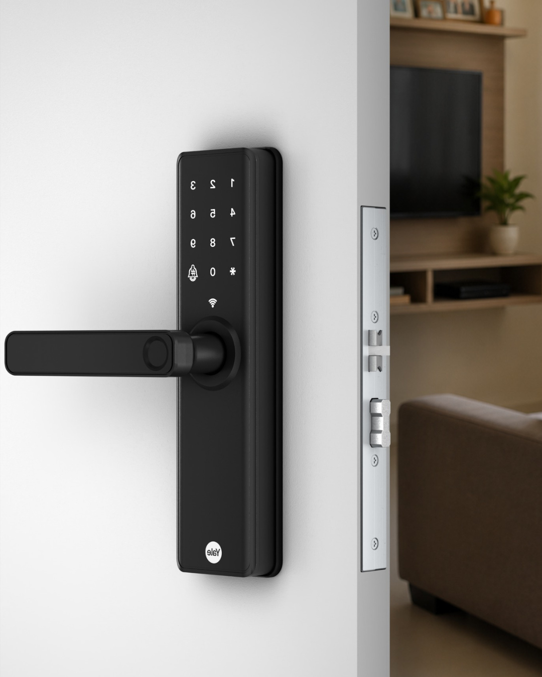 Product main image - 4f0f240e-e8fb-4767-ac97-a91dfc57a91d